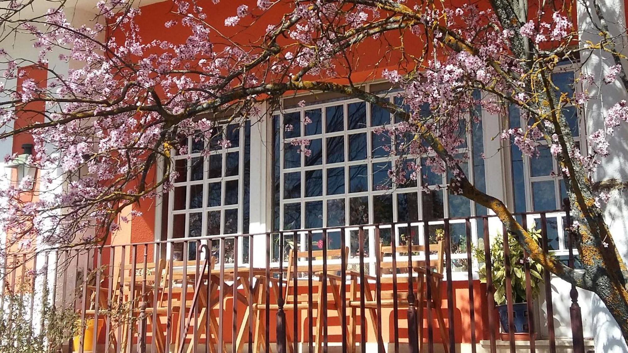 La Casa Grande De Gormaz Vila Quintanas de Gormaz Exterior foto